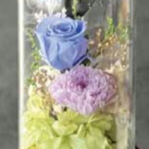 �v���U�[�u�h�t�����[ Funeral Preserved Arrangment�in10-1323�j3�F����1�F��I�� �h�[���^ 1���� ����18cm ������ �K�N �M�t�g �����݉� �������� ����