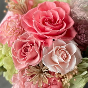 �v���U�[�u�h�t�����[ Natural Arrangment�in10-1324�jM�T�C�Y 4�F����1�F��I�� �|�b�g�^ 1���� ����18cm �N���A�P�[�X���� �K�N �u���U�A�����W �M�t�g �C���e���A