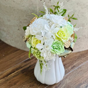�v���U�[�u�h�t�����[ Presarved Arrangment�in10-1329�j��T�C�Y �O���[�� �|�b�g�^ 1���� ����30cm �N���A�P�[�X���� �K�N �u���U�A�����W �M�t�g �C���e���A