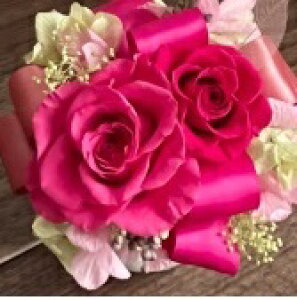 �v���U�[�u�h�t�����[ Presarved Arrangment�in10-1351�jS�T�C�Y 7�F����1�F��I�� �|�b�g�^ 1���� ����10.5cm �N���A�P�[�X���� �K�N �u���U�A�����W �M�t�g �C���e���A