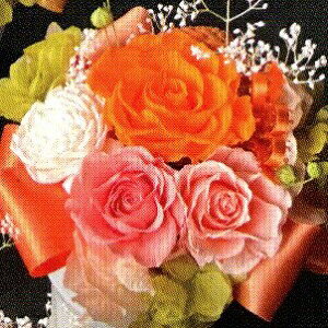 �v���U�[�u�h�t�����[ Presarved Arrangment�in10-1359�jM�T�C�Y 7�F����1�F��I�� �|�b�g�^ 1���� ����17cm �N���A�P�[�X���� �K�N �u���U�A�����W �M�t�g �C���e���A