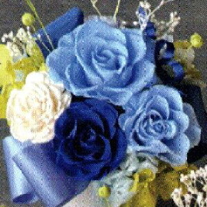 �v���U�[�u�h�t�����[ Presarved Arrangment�in10-1359�jM�T�C�Y 7�F����1�F��I�� �|�b�g�^ 1���� ����17cm �N���A�P�[�X���� �K�N �u���U�A�����W �M�t�g �C���e���A