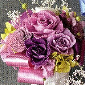 �v���U�[�u�h�t�����[ Presarved Arrangment�in10-1359�jM�T�C�Y 7�F����1�F��I�� �|�b�g�^ 1���� ����17cm �N���A�P�[�X���� �K�N �u���U�A�����W �M�t�g �C���e���A