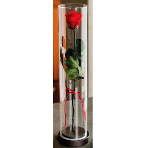 �v���U�[�u�h�t�����[ Presarved Arrangment�in10-363l�j�����O ���b�h �A�N�������V�R�� ��� 1���� ����45cm ������ �K�N �u���U�A�����W �M�t�g �C���e���A