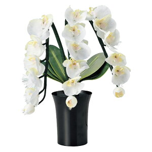 ~ 򕌒 ԃ^Cv Oh~iXSTD Ӓ3{ 48cm (P26)(23833) FLED dCR[h ~ V~ ~