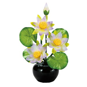 ~ 򕌒 ԃ^Cv Oh~iXSTD nXl 47cm (P26)(23851) FLED dCR[h ~ V~ ~