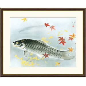 zG [q H f8Ef6Ef4TCY {̖V[Y Ryushi gk-a5-j2054ip98j iJ2-054j isj { CeA