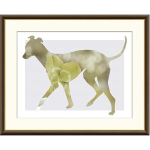 zG R Clover f8Ef6Ef4TCY mg[A[g Dog&Cat Misaki gk-a5-j3l005ip69j iJ3-L005j isj A[g CeA