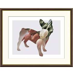 zG R Tulip f8Ef6Ef4TCY mg[A[g Dog&Cat Misaki gk-a5-j3l009ip69j iJ3-L009j isj A[g CeA