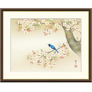 zG XRό Ԃɏ f8Ef6Ef4TCY {V[Y Ԓ t gk-a5-j4b015ip151j iJ4-B015j isj { CeA