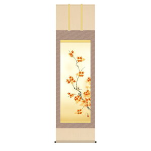 | Ԓ H| gtɏ ڌ c| [KZ2A6-34C](s)