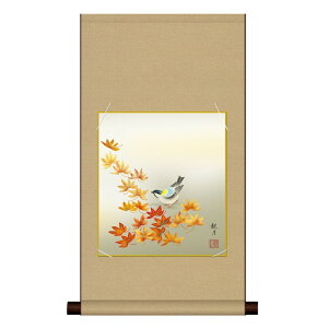 �F���| ������{�� �Ԓ��� [�g�t] �X�R�ό� �������ȐF���|��+�F���Z�b�g [KN3HEM-009] ���ϔ����[