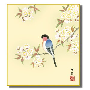 FG lGG Ԓ [ɗڗ] xFH|F [K5-020A] t