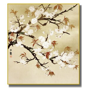 FG ͎ʕʉ R [] FH|F [K10-061] ϖI