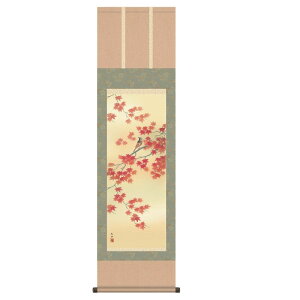 | {̂yY [gtɏ] c| [ڎO] [NOH30MA6-17C]ysz