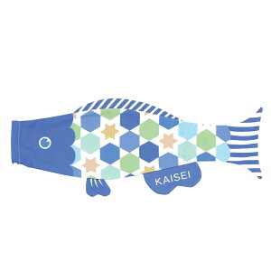 i p ̂ڂ ׂ邽̂ puca v[J ق u[ {̓` ̂ڂ [߂̐ߋ