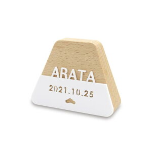 i v[ĴOD Ȃ puca xm AN MONACA OEN 76mm ui i620-521j {̓` ̐ߋ [߂̐ߋ