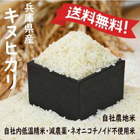令和7年産 キヌヒカリ 兵庫県産 Mirakana 減農薬 ネオニコチノイド不使用米 白米0.5kg・0.9kg・2kg・5kg・10kg 熱を加えずに、やさしい低温精米 お子様に安心なお米 健康志向