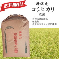 楽天市場】丹波 玄米 30kg コシヒカリの通販