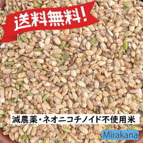 楽天市場】玄米 10kg（エサ｜鳥用品）：ペット・ペットグッズの通販