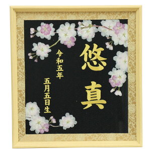  O z  B n CG[hJ OEN z z z l` 38.8cm (b-kuro)