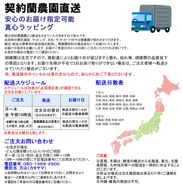 70 Off 蘭生花 白大輪胡蝶蘭 5本立ち 70輪程度 つぼみ含む 5f7l P1024 代引き不可 お祝い 開店祝 当選祝 お供え 契約蘭農園直送 ラッピング出荷 Fucoa Cl