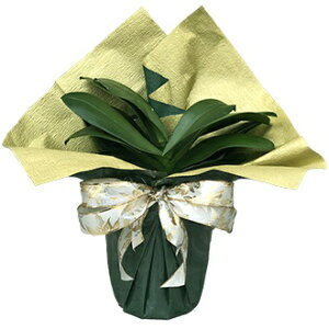 ԐpbsO O[×S[h bsÔ ԂƂꏏɂ߂B isj