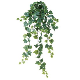 人工観葉植物 フロストアイビー ハンキング ブッシュ 長さ80cm （P143-91672) （代引き不可） インテリアグリーン フェイクグリーン