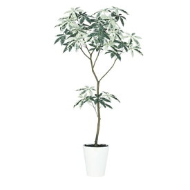 人工観葉植物 パキラ ミルキーウェイ FST 180 ポット付き 高さ180cm （P53-91860) （代引き不可） インテリアグリーン フェイクグリーン