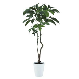 人工観葉植物 ブラッサイア 170 ポット付き 高さ170cm （P45-91899) （代引き不可） インテリアグリーン フェイクグリーン