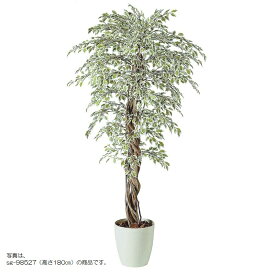 人工観葉植物 ベンジャミナスターライトリアナ 200 natural ポット付き 高さ200cm （P59-98526) （代引き不可） インテリアグリーン フェイクグリーン