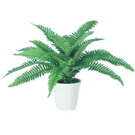 人工観葉植物 ボストンファン M ポット付き 高さ35cm （P100-98571) （代引き不可） インテリアグリーン フェイクグリーン