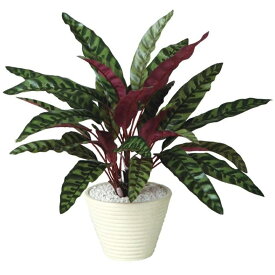 人工観葉植物 ランキフォリア ポット付き 高さ40cm （P112-99051) （代引き不可） インテリアグリーン フェイクグリーン