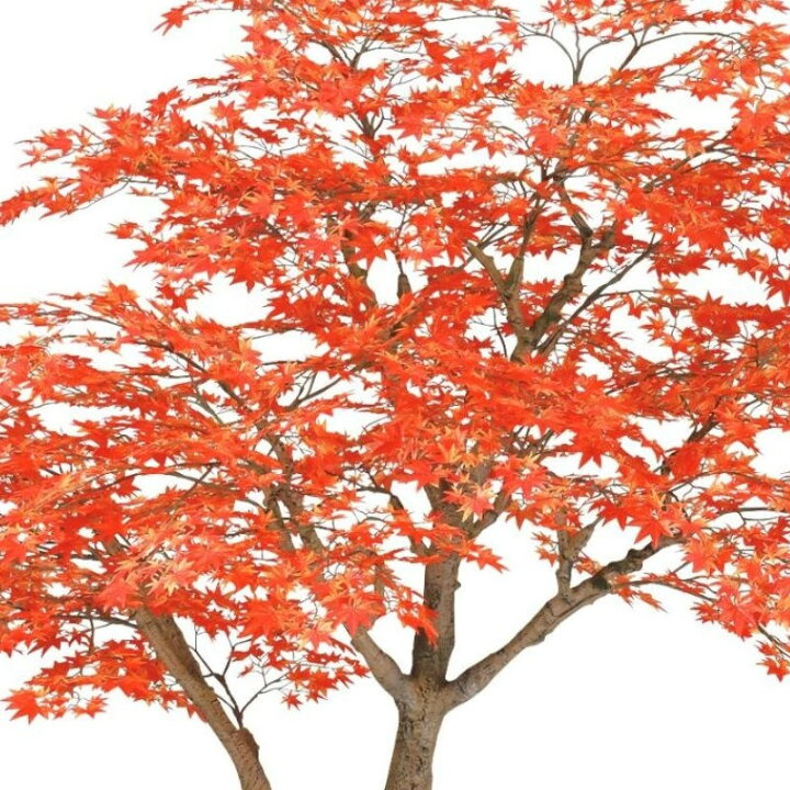 楽天市場】人工観葉植物 ヤマモミジ RED コアッド 230 ポット付き 高さ 
