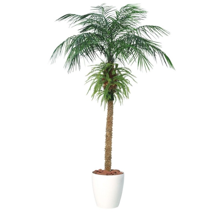 人工観葉植物 フェニックス・ロベレニー PLUS 200～300 ポット付き 高さ200～300cm （P83-99454) （代引き不可） インテリアグリーン フェイクグリーン