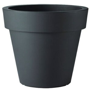CeA |bg v^[ euro3plast CR -Ikon- 80 iBKj 71cm iP163-99606) isj lHؗp