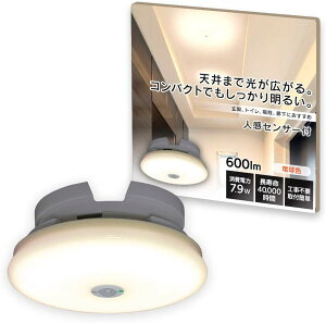 V[OCg ^ ^ ACXI[} 3Nۏ LEDCg lZT[ LED ȃGl ~j 600lm RpNg tȒP  L  Lb` N[[bg SCL6LMS-UU SCL6NMS-UU SCL6DM