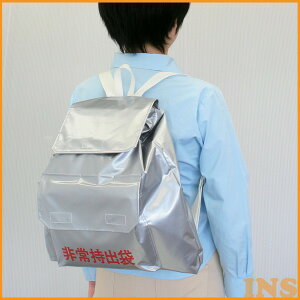 非常持出袋 防災 リュック バック アイリスオーヤマ非常持ち出し袋 非常用持ちだし袋 非常用持ち出し袋 非常袋 防災用品 避難用品 避難グッズ 防災グッズ リュックサック ナップサック 非