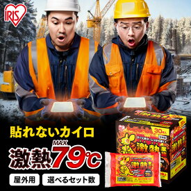 カイロ 貼らない 屋外専用 貼らないカイロ レギュラー 30枚 まとめ買い 使い捨て 9時間持続 貼れない 使い捨てカイロ あったかグッズ 防寒 寒さ対策 冷え対策 屋外作業 アウトドア 防災 備蓄 激熱家族 アイリスオーヤマ #