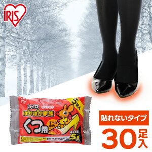 【2箱セット】靴用カイロ 足用カイロ カイロ 30足 滑り止め 貼らないカイロ 貼らない 使い捨てカイロカイロ くつ用 白 まとめ買い 使い捨て レジャー お出かけ 屋外 防寒 防災 備蓄 アイリス