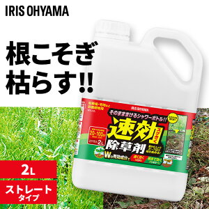  2L   t _knp ͂炵 G΍ K[fjO |pi   G  Xg[g^Cv V[  WSJ-2L ACXI[} *yViz