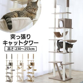 突っ張りキャットタワー CCCT-4060T 送料無料 突っ張りキャットタワー キャットタワー キャット タワー 突っ張り つっぱり ネコ 猫 遊び道具 室内 ペット用品 ペット ブラウン グレー ベージュ