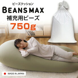 ＼ 補充用ビーズ ／ ビーズクッション 補充 中身 日本製 ビーズクッション用 補充ビーズ 750gビーズ 補充用 クッション ビーズソファ 発泡ビーズ クッション用 専用ビーズ 国産 詰め物 軽量 軽い レフィル