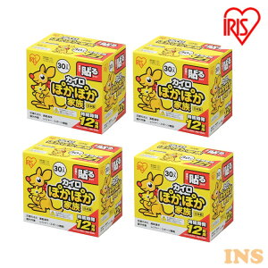 y120zJC \ ACXI[} 12(30×4)JC \   JC  ĝăJC h e w ~ ^ ΍ ObY ߕ  ₦΍ ܂Ƃߔ