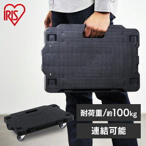   A y RpNg LX^[t ACXI[}  ^ ^ ω׏d 100kg LX^[   y É  [ ^ Ɩp X A\ 