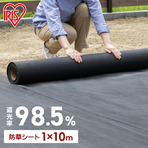 lH hV[g 10m ACXI[}ŐV[g h hV[g h΍   G G΍ ȒP Ռ  hpi K[f K[fjO 10m   ͂ sDz V[g ؒf\ 