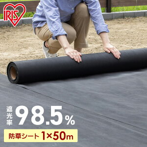 lH hV[g 50m ACXI[}ŐV[g h hV[g h΍   G G΍ ȒP Ռ  hpi K[f K[fjO 50m   ͂ sDz V[g ؒf\ 