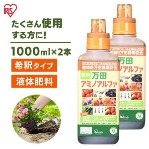 cyf cA~mAt@ 1L 1000ml 1bg 2{Zbg 엿  t t̔엿 A ͍ |   _ { ʎ ƒ؉ K[fjO A  x_؉ h{ L@