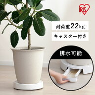 鉢置き キャスター付き 10号 鉢台 植木鉢台 キャスター付き 排水トレー付き プラントムーバー 植木鉢トレ…