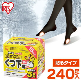 カイロ 貼る 貼るカイロ 靴下用カイロ 240足 (15足入×16個) 足 足先 温める 使い捨てカイロ まとめ買い 靴下 足用 屋外作業 レジャー スポーツ観戦 通勤 通学 冬 防寒 寒さ対策 PKN-15HK アイリスオーヤマ ぽかぽか家族 #